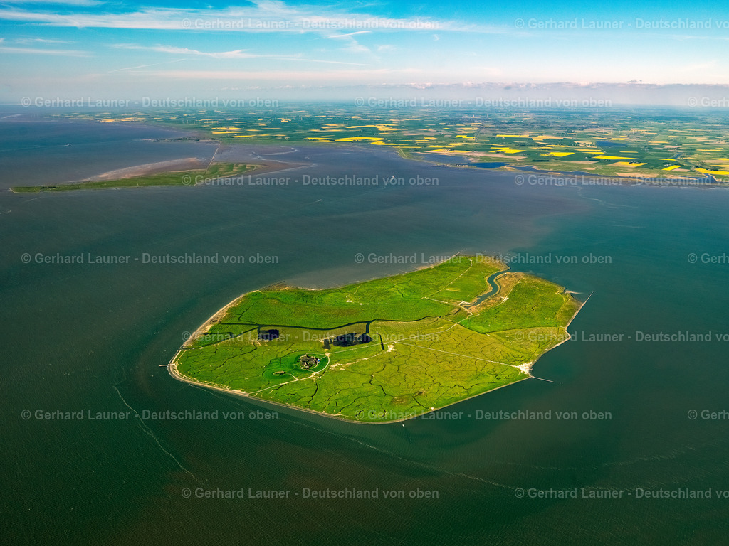 3091361 | Hallig Gröde, Nationalpark Schleswig-Holsteinisches Wattenmeer