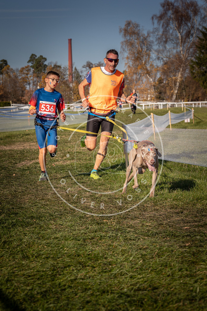 CaniXpix_0L8A7477 | Hundefotografie, Tierfotograf, Pfotenfotografie, Fotoshooting Hund, Hunde Portrait, Hundesport, Hundeportraits, Heideshooting, Hunde, Sportfotograf, Hundefotograf, Turnierhundsport, THS,  - Realisiert mit Pictrs.com