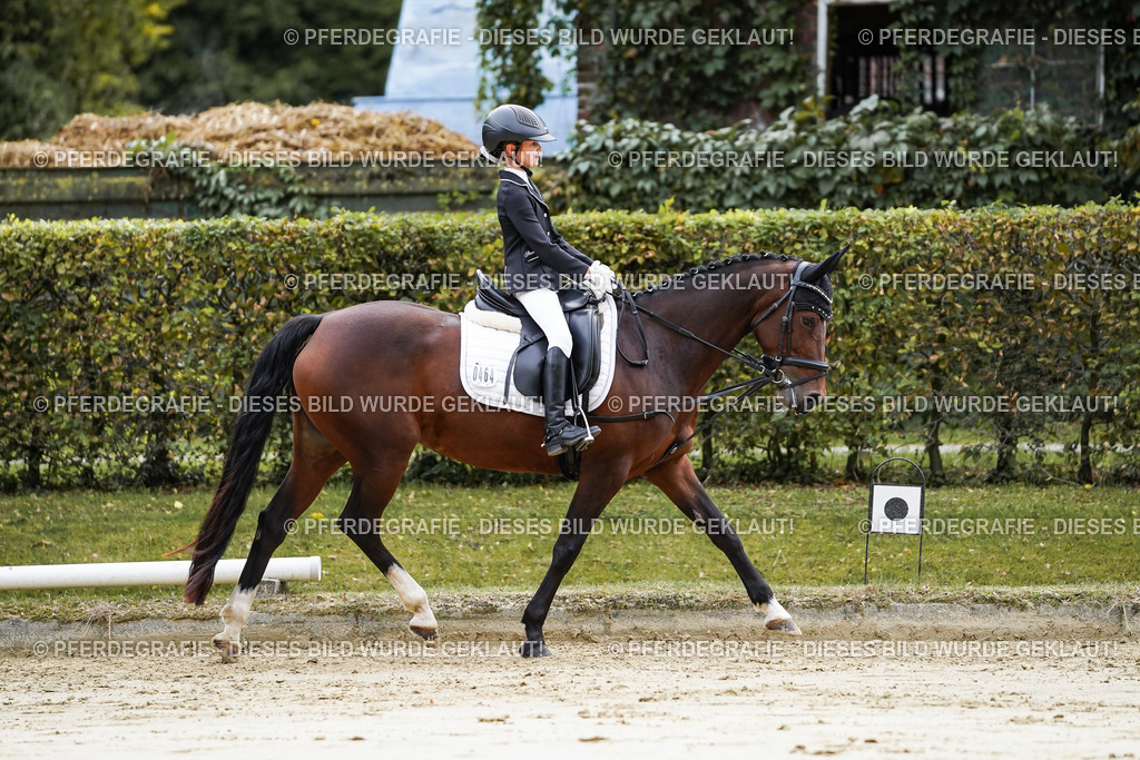 DSC05266 | Pferdegrafie