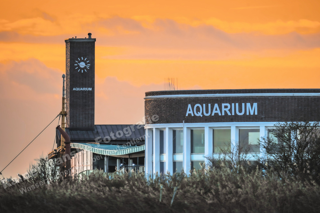 125 Wilhelmshaven Nassauhaven und umzu - 25-11-2023 -R Ganske Kopie | Onlineshop mit Bildern von Stränden, Häfen und Meer. Leinwände, Poster, Kalender und andere Materialien erhältlich. Kommerzielle Lizenzen möglich.  - Realisiert mit Pictrs.com