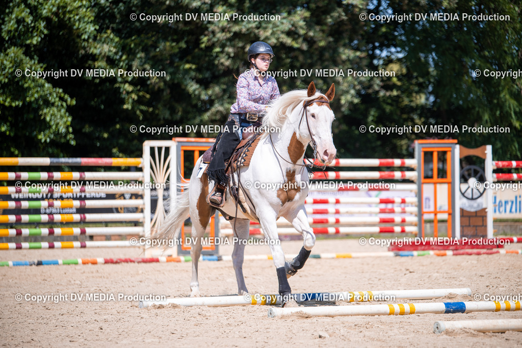 ZS1_1260 | dv-media-shop - Realisiert mit Pictrs.com