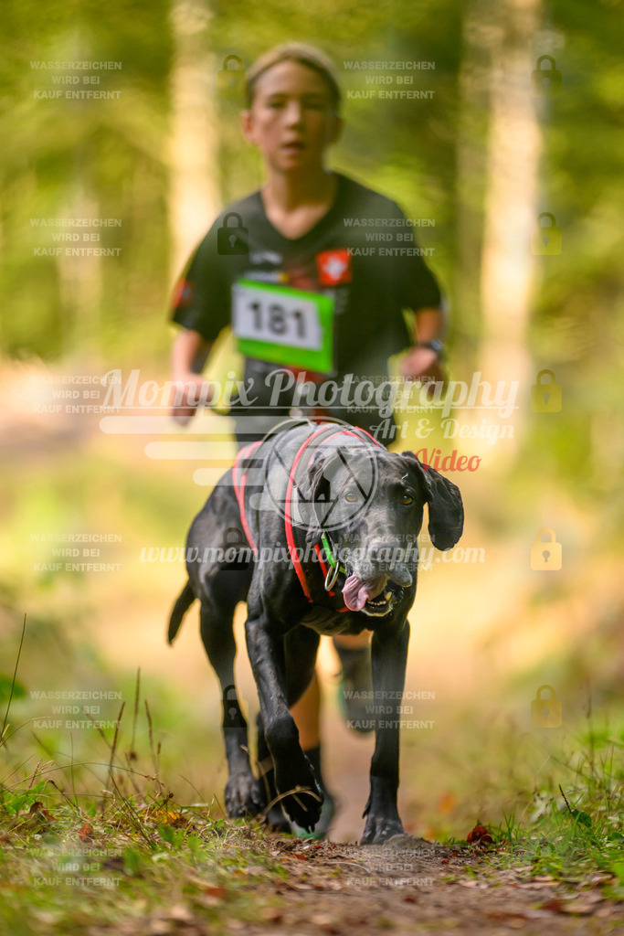 MompixPhotography_Yens2025_B3-233 | PayLife