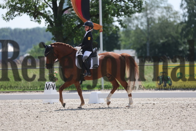Rot am See_2024_Prfg.Nr.21_Qual.BCH_und_LCH_5-jähr.Ponys_Mary-Ann Hollenbach_Dein Traum (2) | Alle Fotos der Reiterjournal Fotografin Doris Matthaes im Reiterjournal Online-Fotoshop. - Realisiert mit Pictrs.com