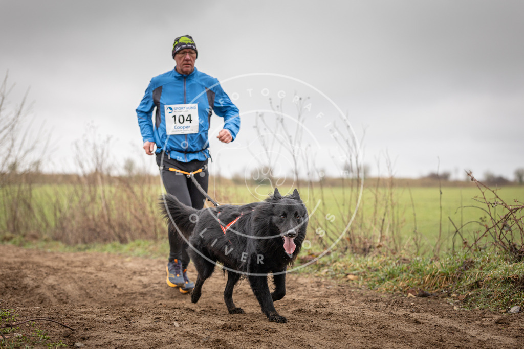 DV3A0197 | Hundefotografie, Tierfotograf, Pfotenfotografie, Fotoshooting Hund, Hunde Portrait, Hundesport, Hundeportraits, Heideshooting, Hunde, Sportfotograf, Hundefotograf, Turnierhundsport, THS,  - Realisiert mit Pictrs.com