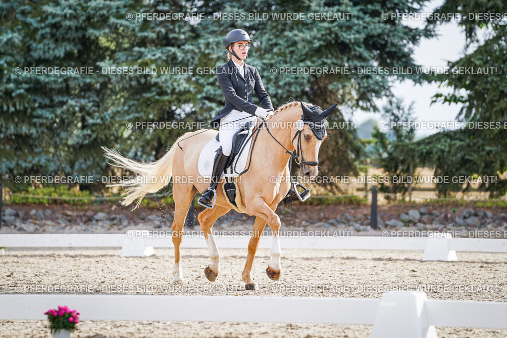 DSC00853 | Pferdegrafie