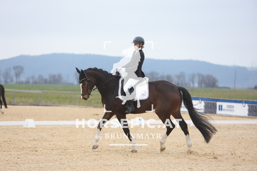 0P6A4560 | Willkommen bei Brunnmayr - Design & Fotografie – Ihrem Spezialisten für Reitturniere und Pferdeveranstaltungen in Oberösterreich, Salzburg und Bayern! Seit über 17 Jahren sind wir leidenschaftlich dabei.