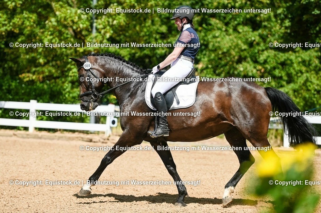20230715_02_Dressurreiterprüfung Kl.L_0124 | equistock