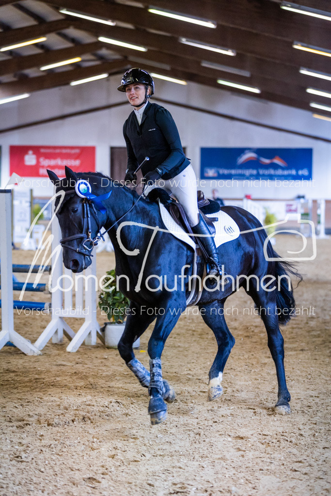 Sth-Gewöhnung-044 | MomenTaufnahmen Pferdesportfotos