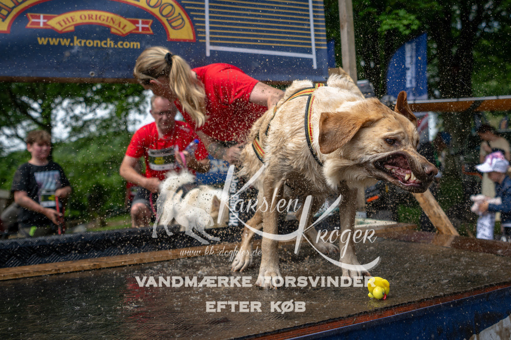 1113_ZZ93137 | kk-dogfotos