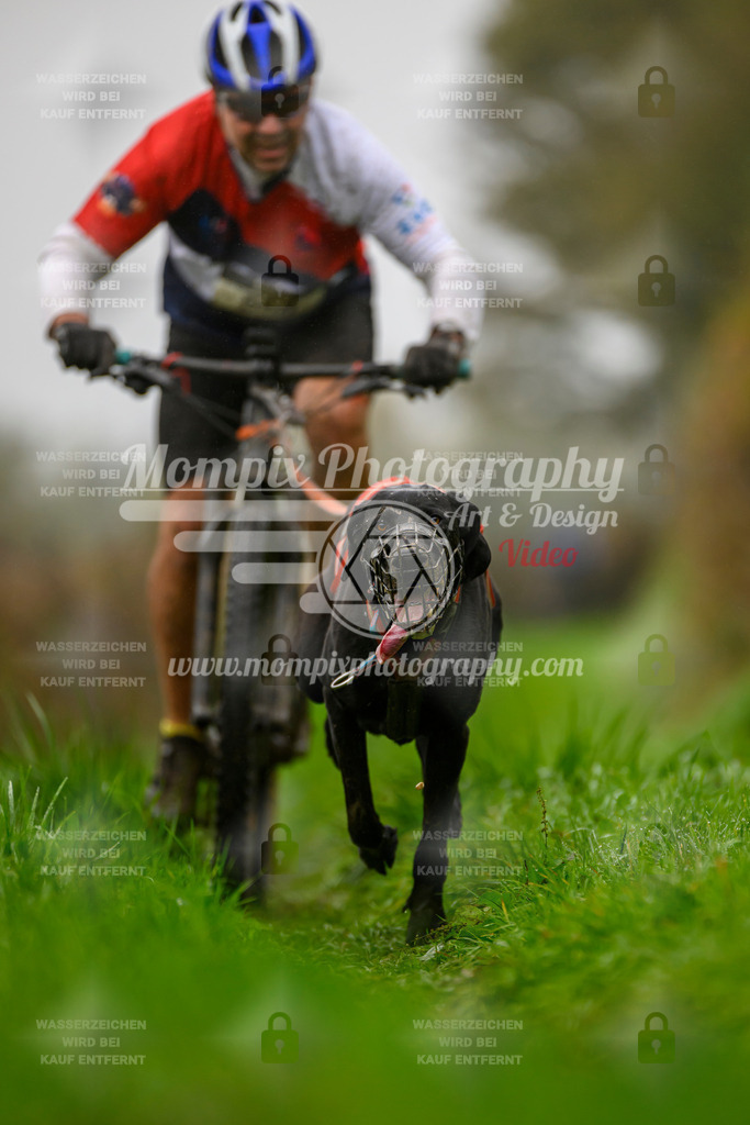 MompixPhotography_20TSB_E8_Bike-62 | PayLife