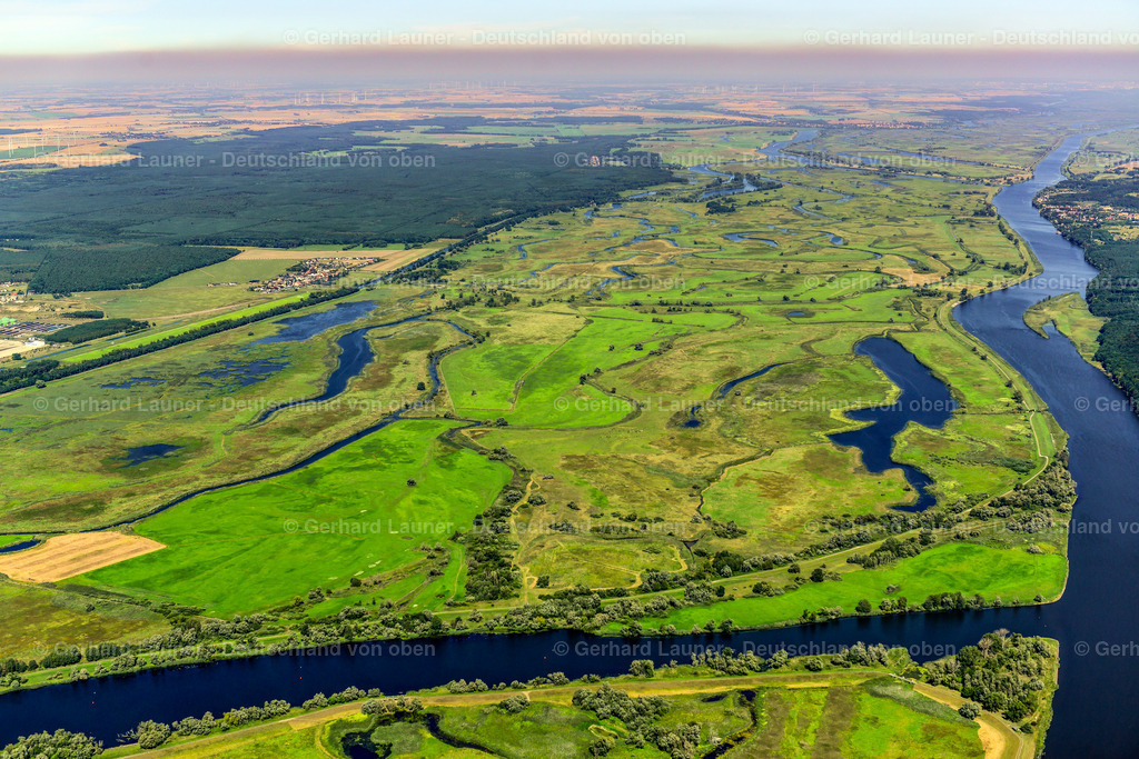 3637515 | Nationalpark Unteres Odertal  bei  GATOW 25.08.2016 Grasflächen- Strukturen einer Wiesen- und Feld Landschaft in der Auen- Niederung am Ufer des Flußverlaufes der Oder in Gatow im Bundesland Brandenburg, Deutschland // Grassland structures of a meadow and field landscape in the lowland on the banks of the river Oder in Gatow in the state Brandenburg, Germany Foto: Gerhard Launer