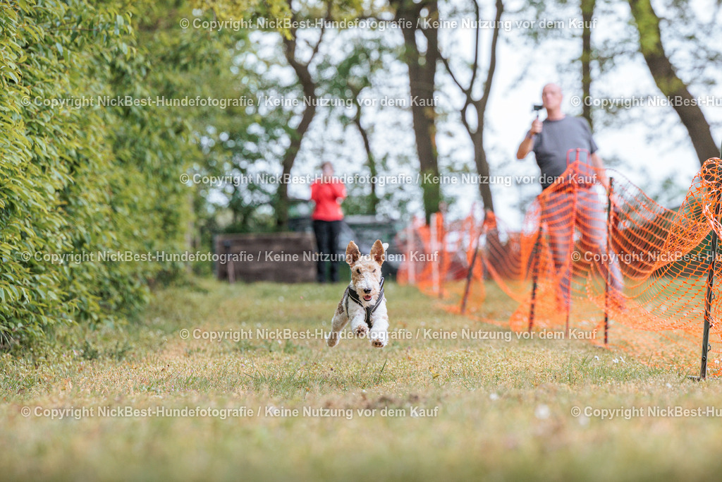 Sage Hunderennen Frühlingsfest-2026-Nickbest-Hundefotografie-0608 | Dein Hund! Dein Moment! Deine Erinnerungen! Hundefotografie in Bremen Blumenthal. Ich fange die besonderen Momente deines Vierbeiners ein – ob Indoor mit Blitzanlage oder in der freien Natur. Sicher dir dein Moment und dein Termin für eure Erinnerungen.