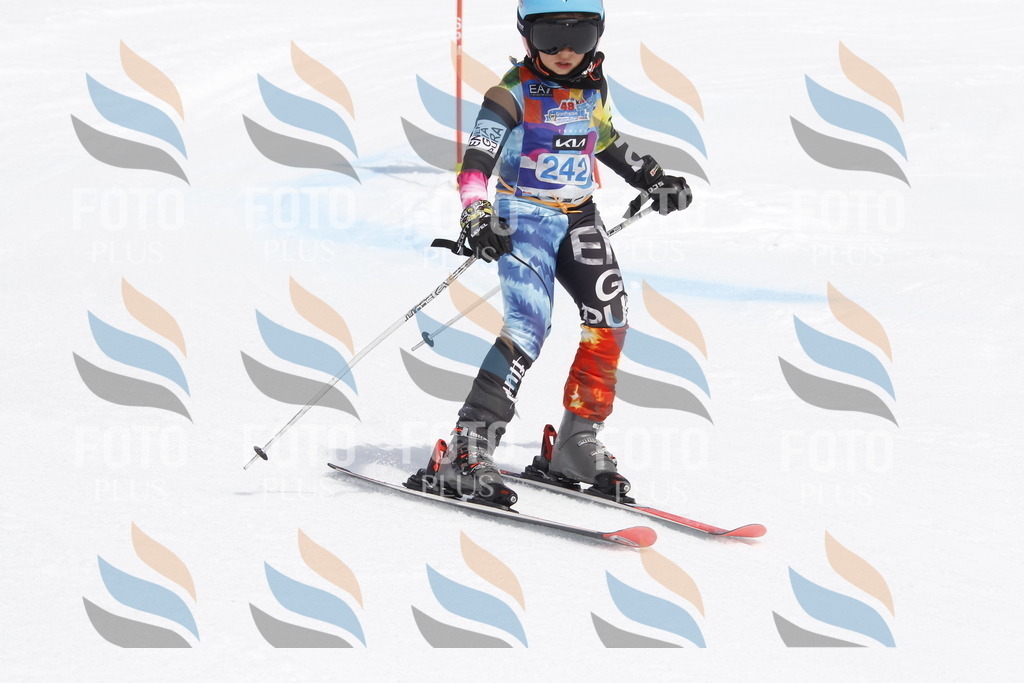 _U3G2734 | holidayphoto