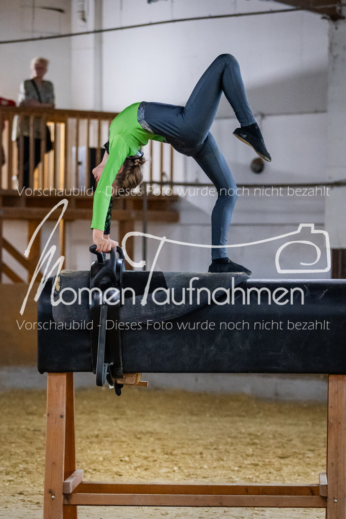 Holzpferd-018 | MomenTaufnahmen Pferdesportfotos