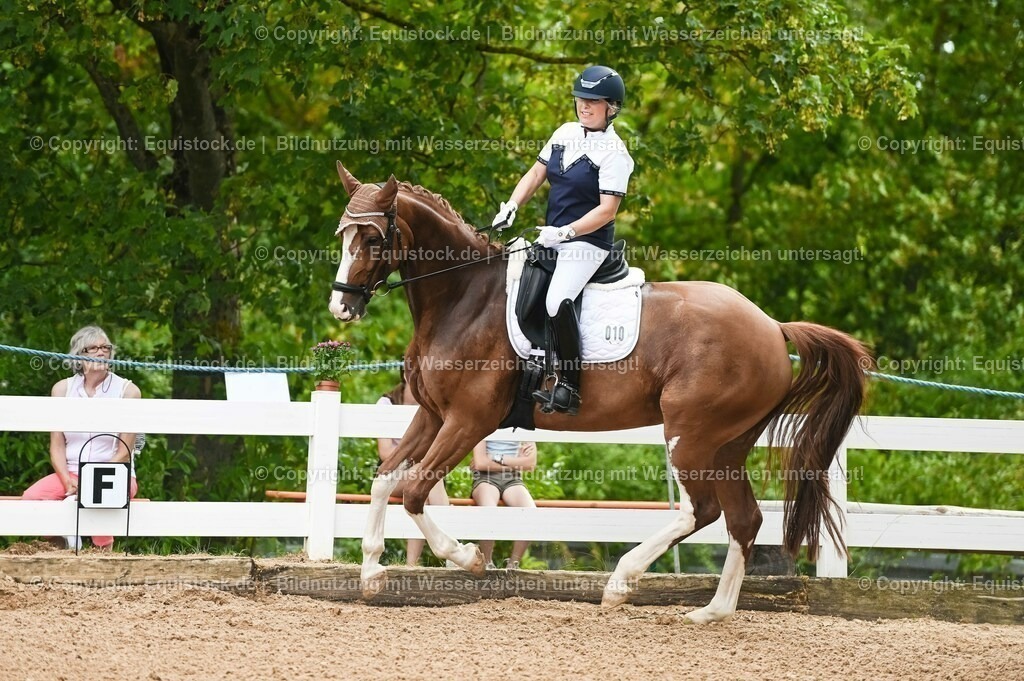 20230715_07_Dressurpferdeprfg. Kl.L_0039 | equistock
