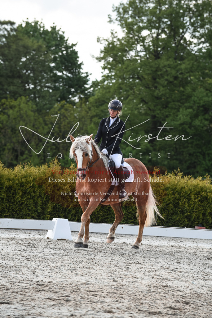 20230518_JK-Röhrsdorf-09-1628 | Pferde- und Turnierfotografie in Westsachsen. Pferdeportraits, Auftragszeichnungen und intuitive Kunst.