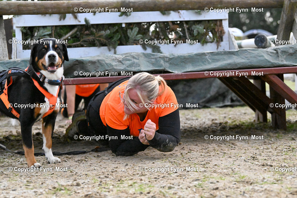 DSC_5952 | Hallo und herzlich Willkommen auf meiner Shop-Seite Fynn Most.

Ich wünsche Dir viel Spaß beim stöbern durch die Bilder, wenn Du Fragen hast oder Bilder vermisst, kannst du mir gerne eine Nachricht schreiben. - Realisiert mit Pictrs.com