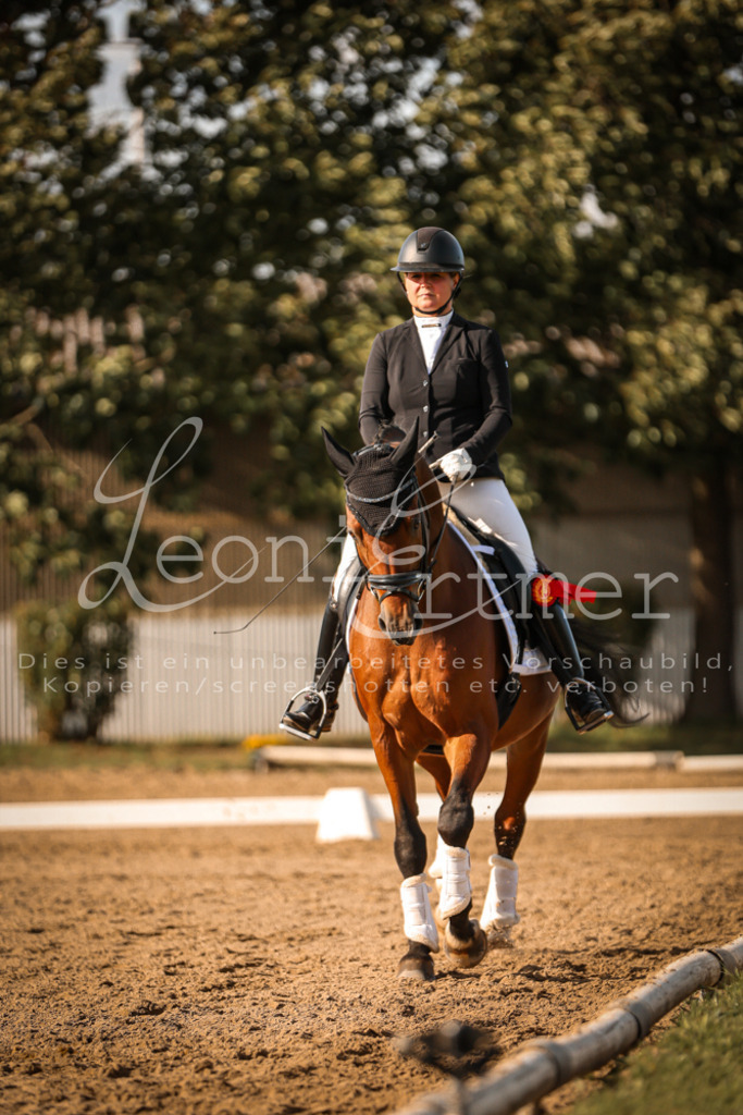 15.SaDrL00510 | Leoni Ertmer Photography - Realisiert mit Pictrs.com