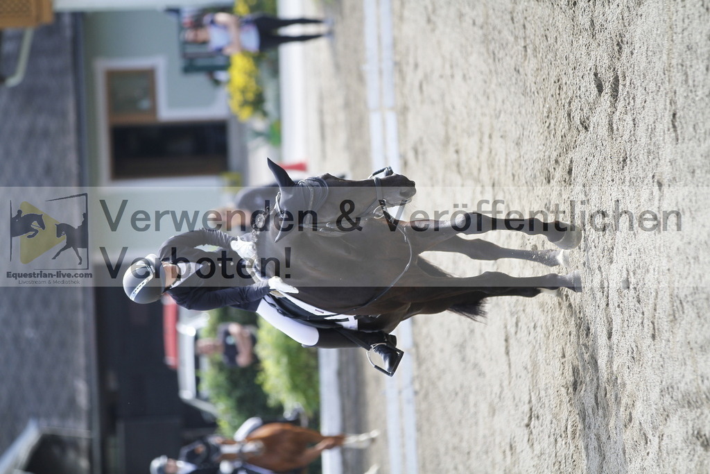 _MG_0738 | equestrian-live-com