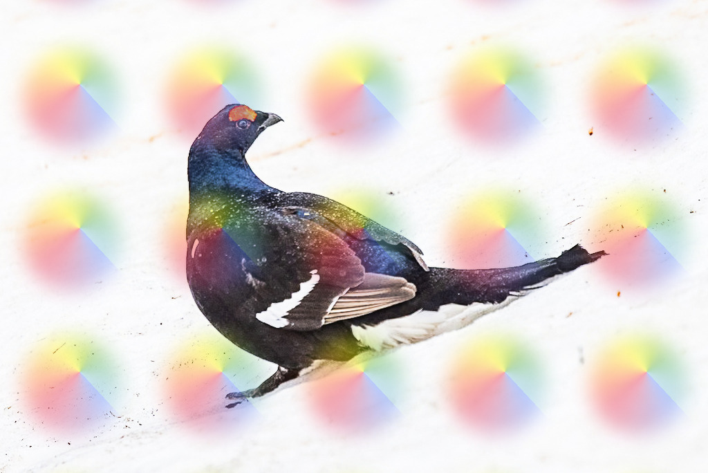 20240513-1M5A1334 | FineArtPrint, Hahnemühle, FeeGalerie, Fee Galerie, Fotokunst, Fotografie, Canonphotography, Bergfoto, Matterhorn, Rimpfischhorn, Allalinhorn, Saas-Fee, Wallis, Valais, Switzerland, Bergfotografie