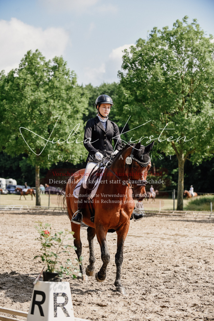 DSC_0473 | Pferde- und Turnierfotografie in Westsachsen. Pferdeportraits, Auftragszeichnungen und intuitive Kunst.