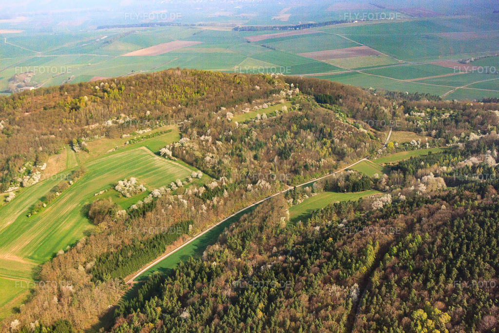 Luftbild: Blühende Obstbäume in einer Lichtung in Sulzdorf an der Lederhecke im Bundesland Bayern in Deutschland. Foto: IMG_64213.jpg vom 06.04.2014 durch Werner Riehm/FLY-FOTO.de
