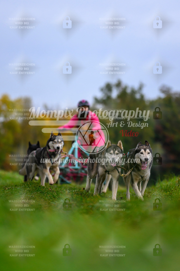 MompixPhotography_CDLBDB2025_DI_Kart-34 | PayLife