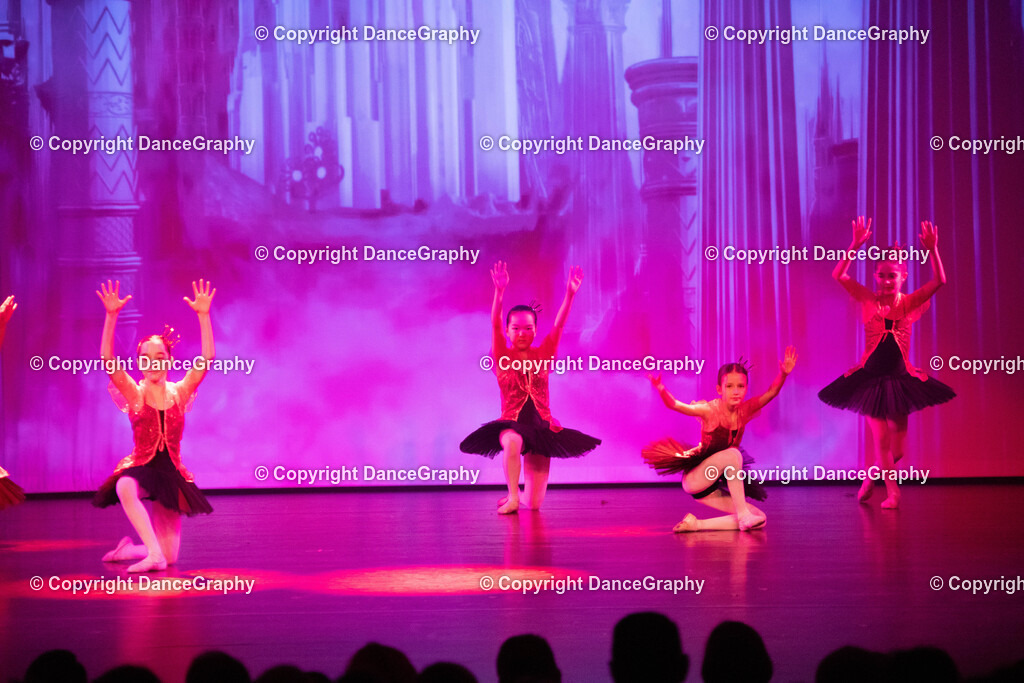 GPHY2142 | DanceGraphy - Realisiert mit Pictrs.com