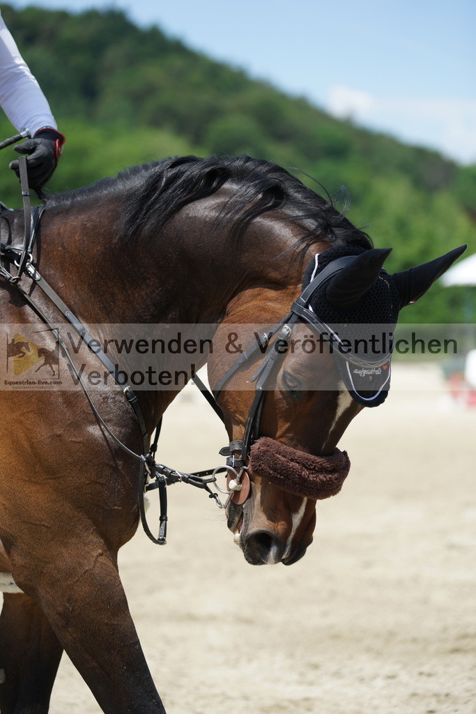 DSC00645 | equestrian-live-com