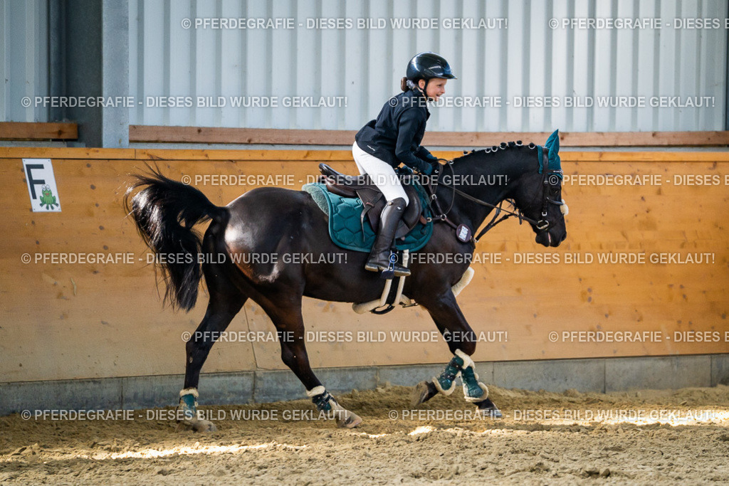 DSC01575 | Pferdegrafie