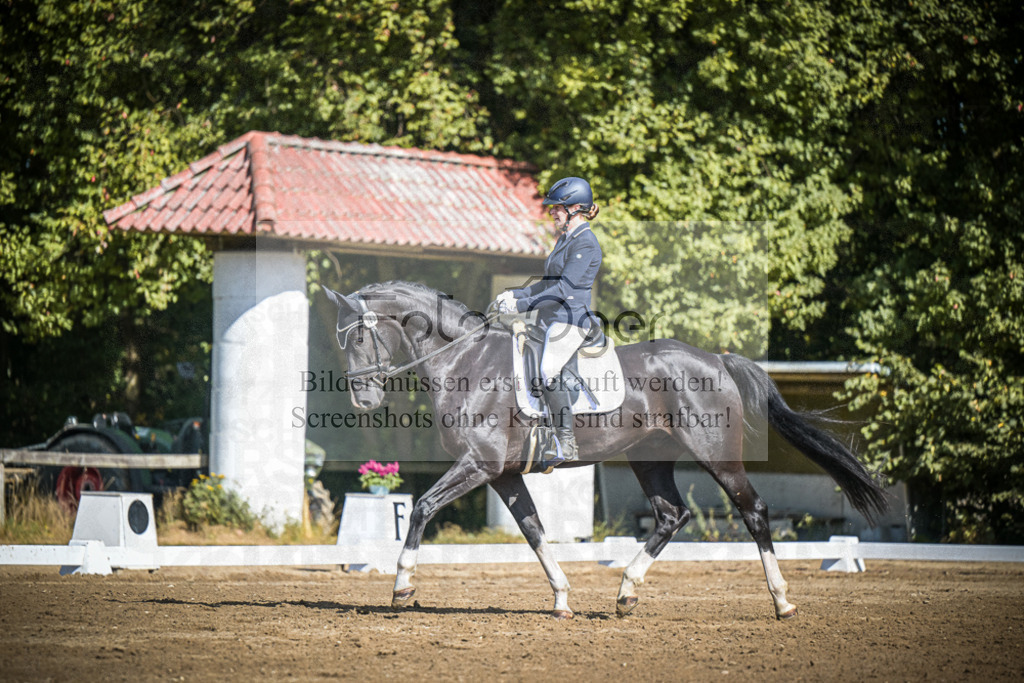 DOS_3781 | Entdecke hochwertige Reitturnierfotos von Foto Oger. Professionell, emotional und authentisch – jetzt Lieblingsmomente im Shop bestellen.Deutschlandweite Turnierfotografie. - Realisiert mit Pictrs.com