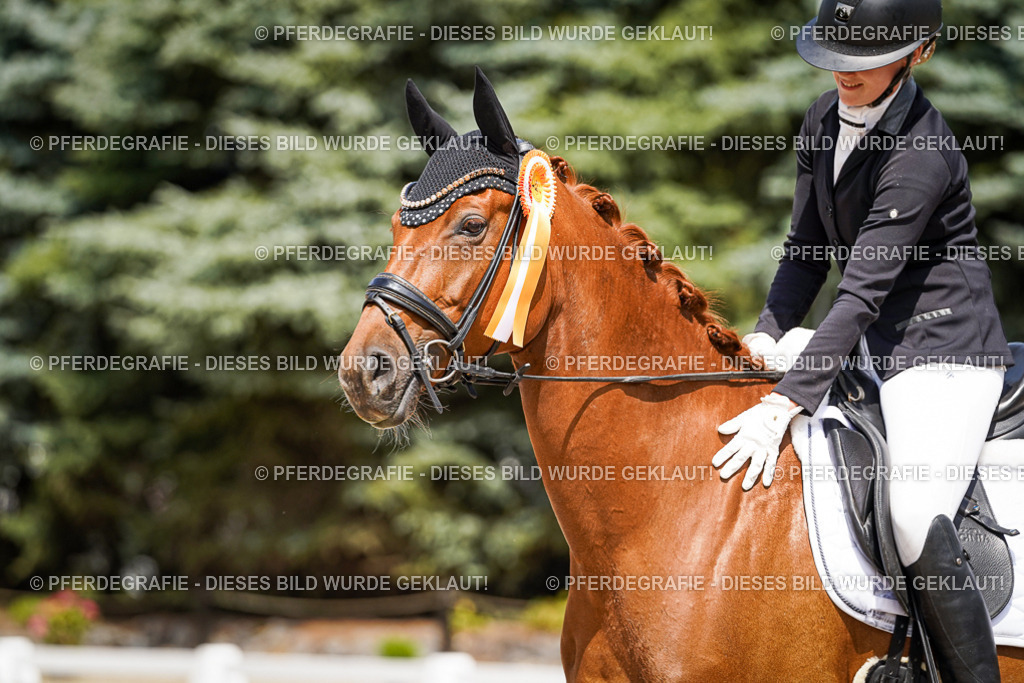 DSC01749 | Pferdegrafie