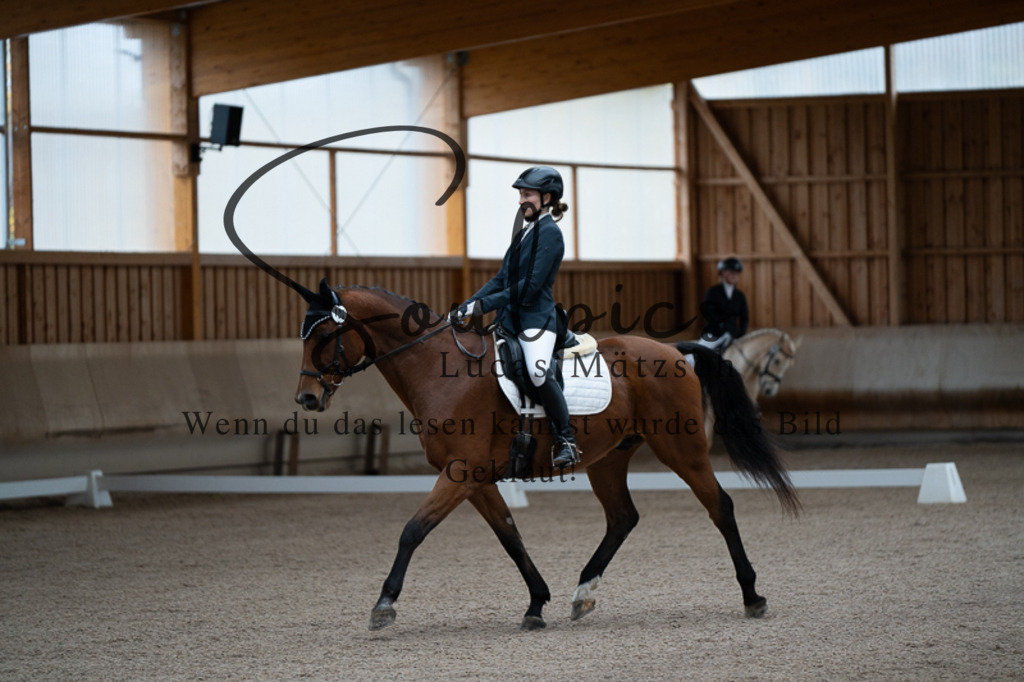 A7V02163 | Pferdefotograf