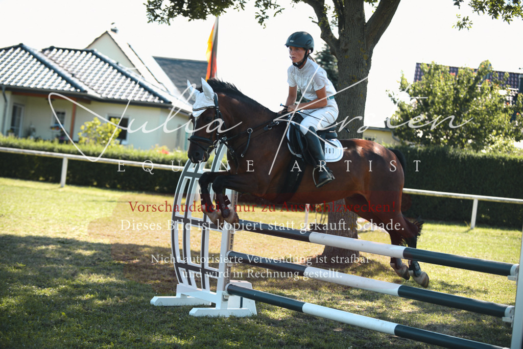 DSC_7277 | Pferde- und Turnierfotografie in Westsachsen. Pferdeportraits, Auftragszeichnungen und intuitive Kunst.