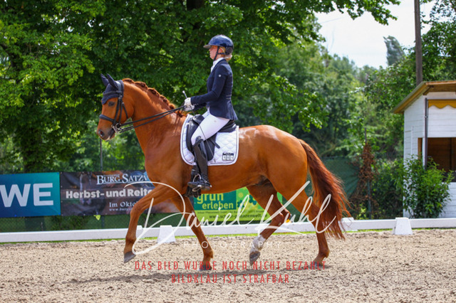 DKP41221 | Turnierfotos kaufen im Webshop von Daniel Kuhl Photography – entdecke professionelle Reitsportfotos aus Turnieren & Events. Hochwertige Turnierbilder online bestellen & sichern. Jetzt Fotos von Reitsportturnieren kaufen!