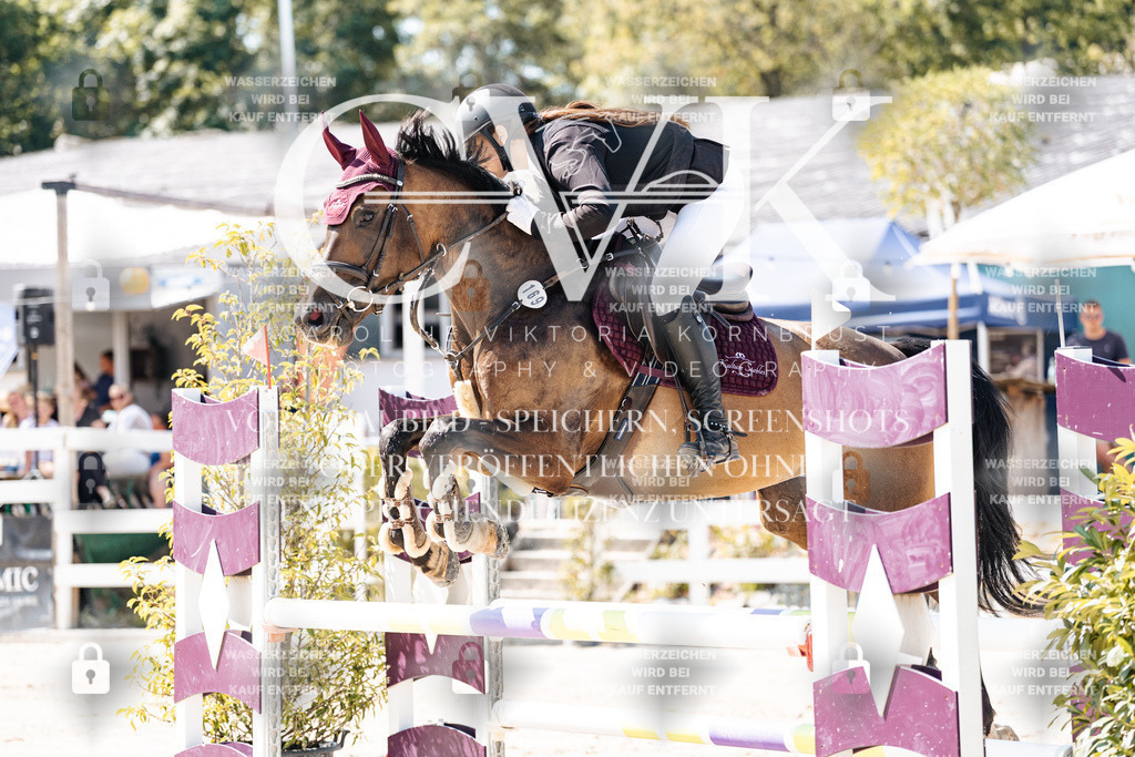 CK908902 | Turnierfotografie Pferdefotografie Trier Rheinland-Pfalz Pferdesport Reitsport Tierfotografie Sportfotografie Pferdevideo Pferdevideografie Equestrianvideography equestrianphotography  - Realisiert mit Pictrs.com