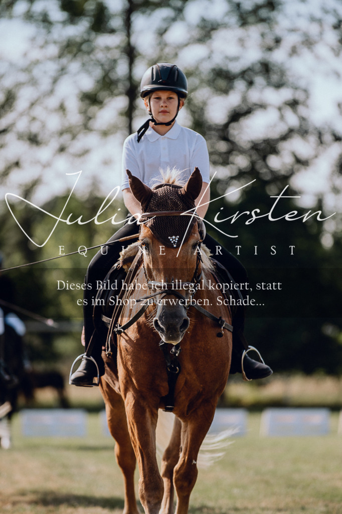 DSC_6930 | Pferde- und Turnierfotografie in Westsachsen. Pferdeportraits, Auftragszeichnungen und intuitive Kunst.