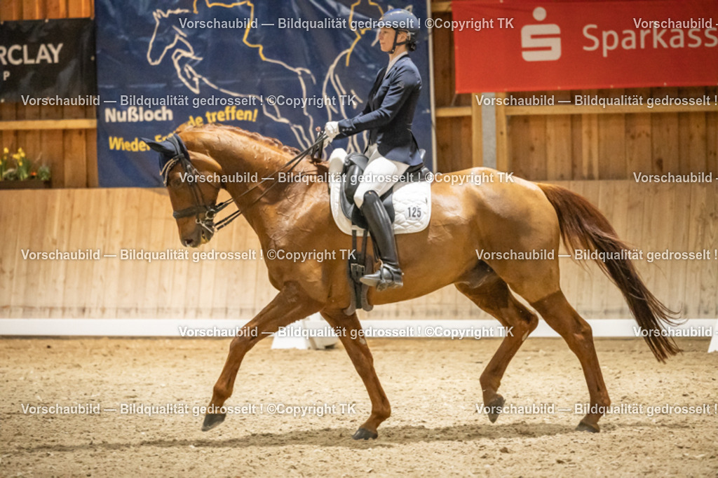 _D5A1164 | Emotionale Pferde- & People-Fotografie rund um Heidelberg, Leimen & Umgebung. Natürliche Fotos von Pferd, Mensch & Familie. Jetzt Termin sichern!