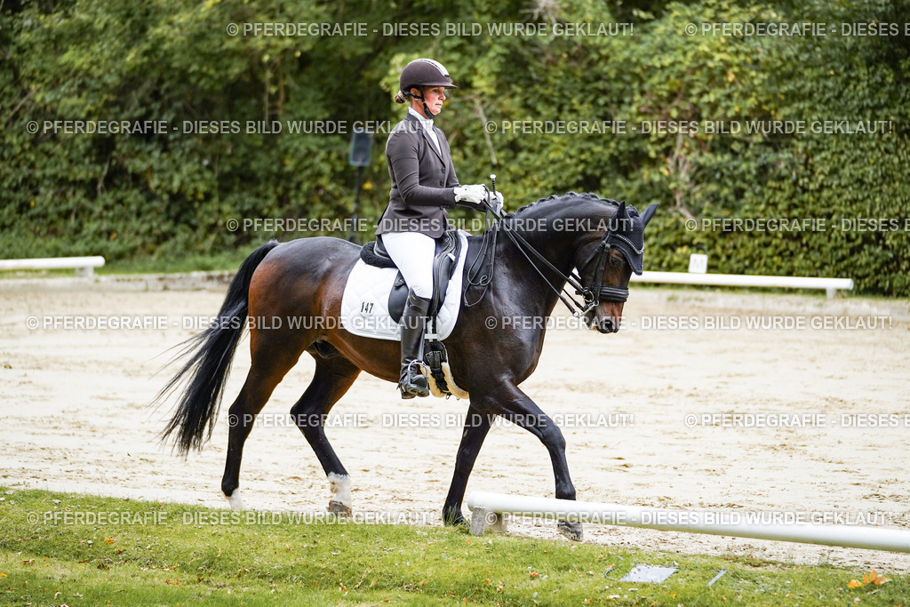 DSC08709 | Pferdegrafie