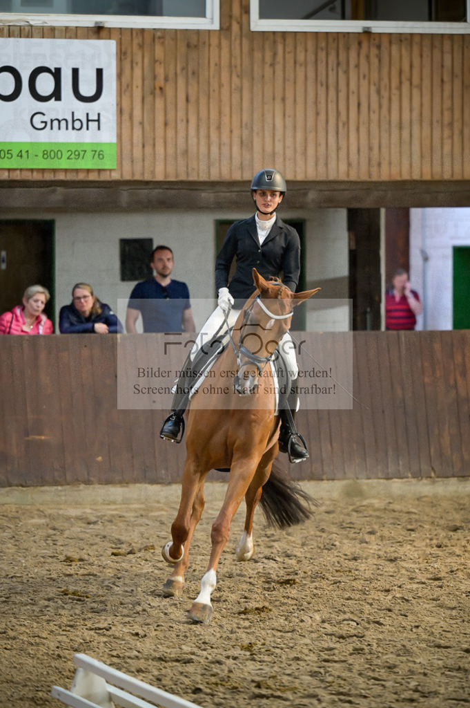 Reitturnier Voxtrup | Entdecke hochwertige Reitturnierfotos von Foto Oger. Professionell, emotional und authentisch – jetzt Lieblingsmomente im Shop bestellen.Deutschlandweite Turnierfotografie. - Realisiert mit Pictrs.com