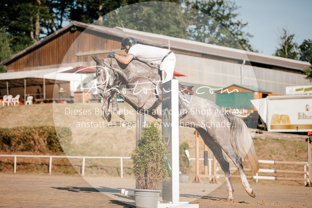 3I6A6293 | Stimmungsvolle Portraits und Reitsportfotografie im Ruhrgebiet und im Münsterland.

Pferdefotografie, Hundefotografie, Tierfotografie, Reportagen, Portraits von Tier und Mensch, Turnierfotografie in Bochum, Recklinghausen, Marl, Haltern am See, Dülmen.. - Realisiert mit Pictrs.com