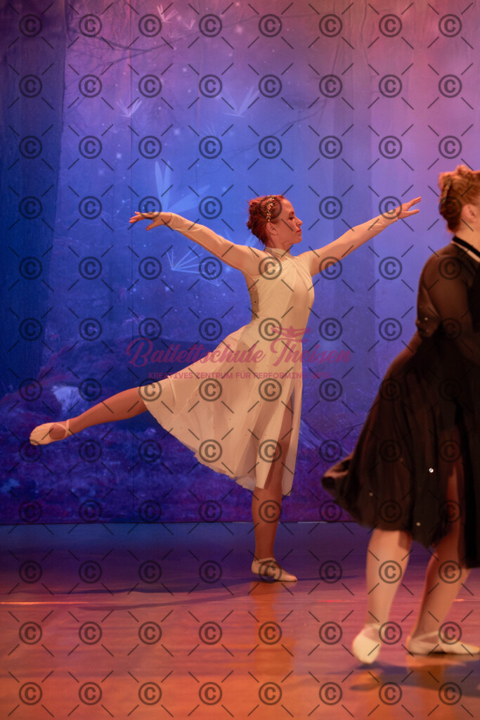 Ballettaufführung-768 | Bildershop Lem'n Entertainment - Realisiert mit Pictrs.com