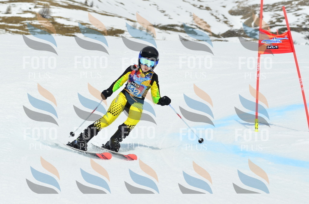 _ELE2583 | holidayphoto