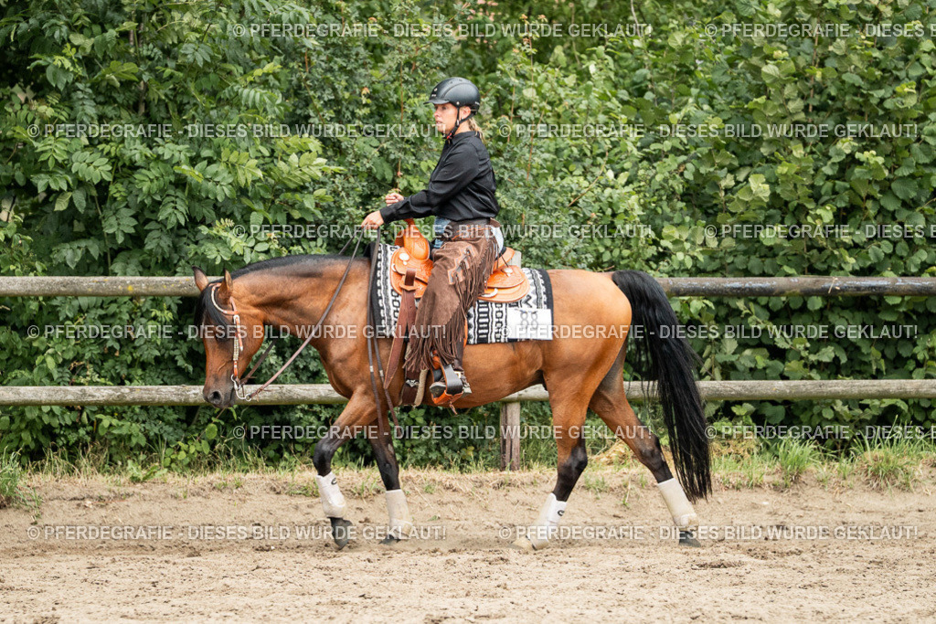 DSC04120 | Pferdegrafie