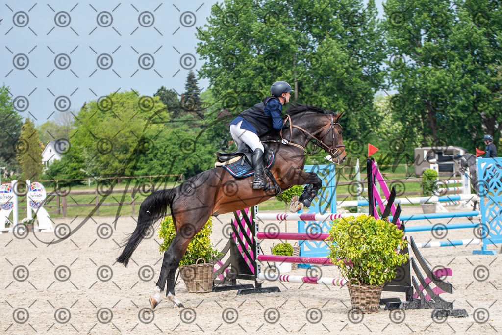 KPT_3306 | andre_photographic