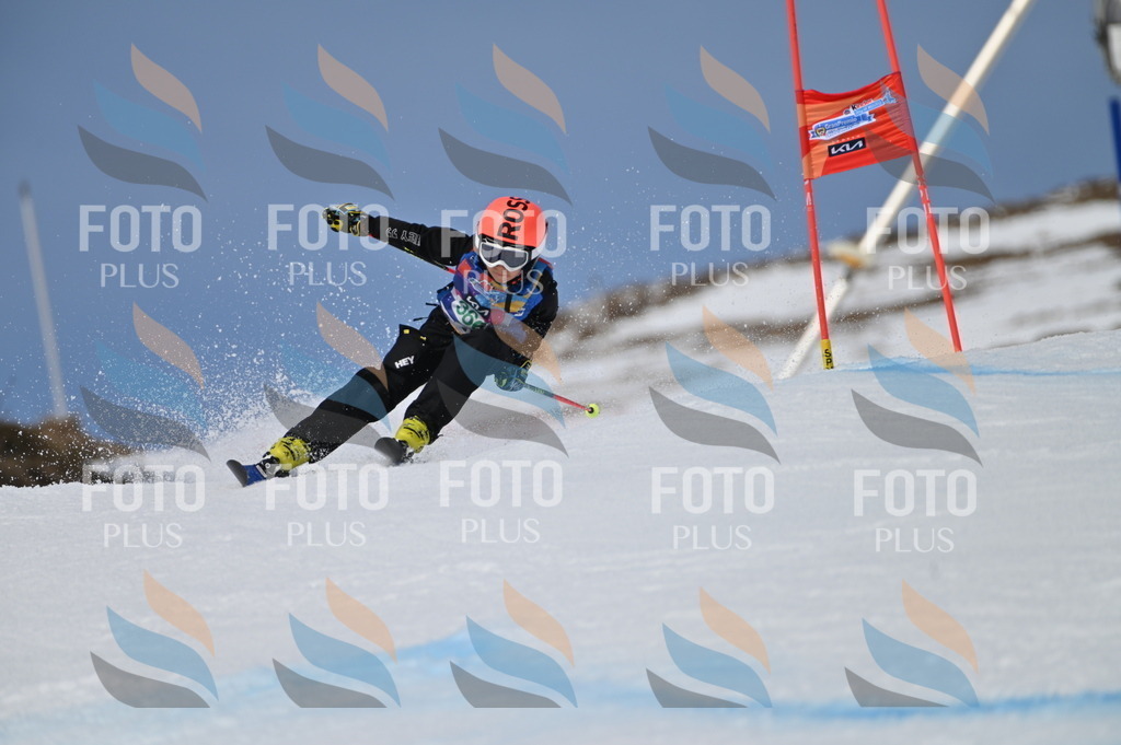 BGV_7230 | holidayphoto