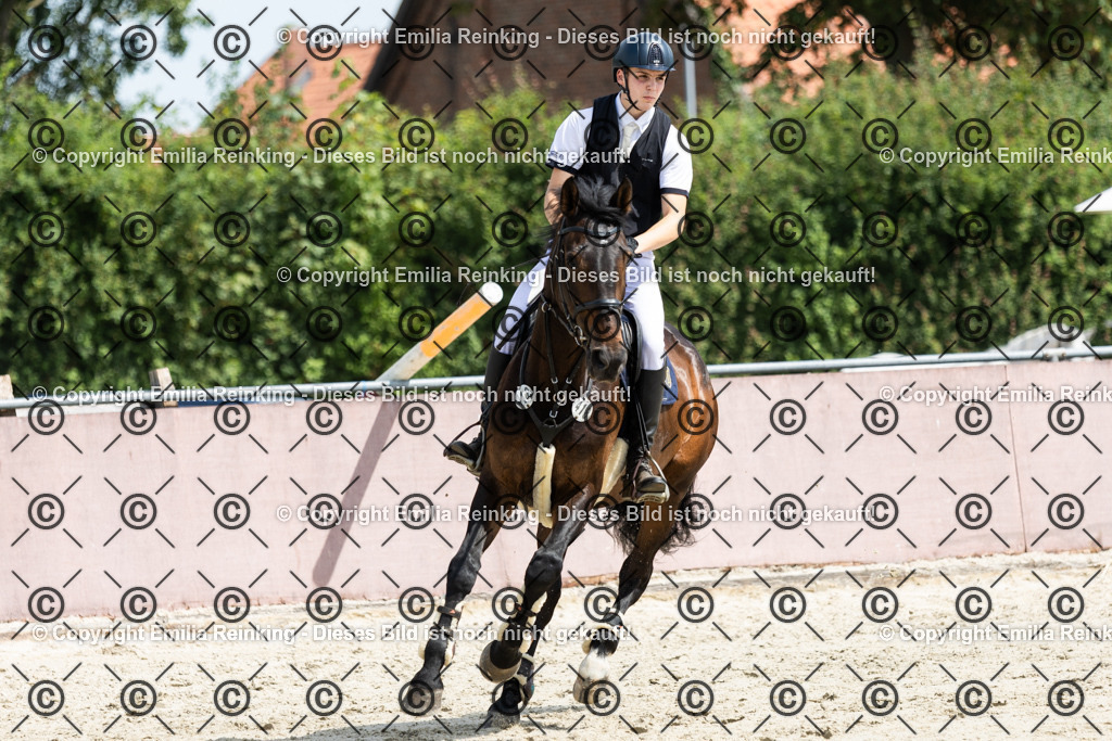 CL5A4081 | Emilia Reinking Fotografie - Realisiert mit Pictrs.com