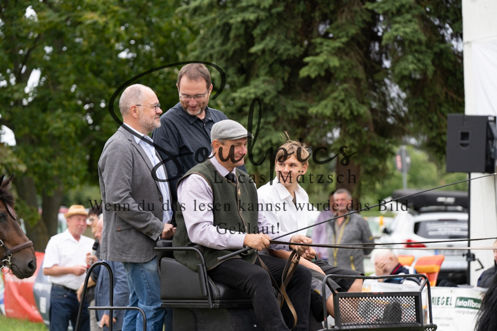 A7V05822 | Pferdefotograf