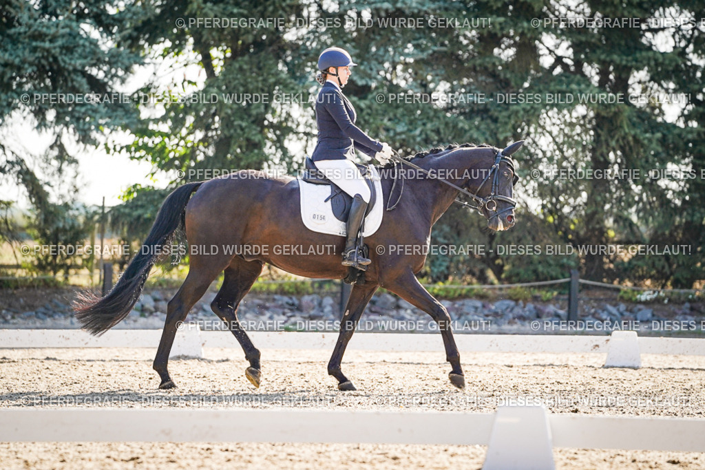 DSC09486 | Pferdegrafie