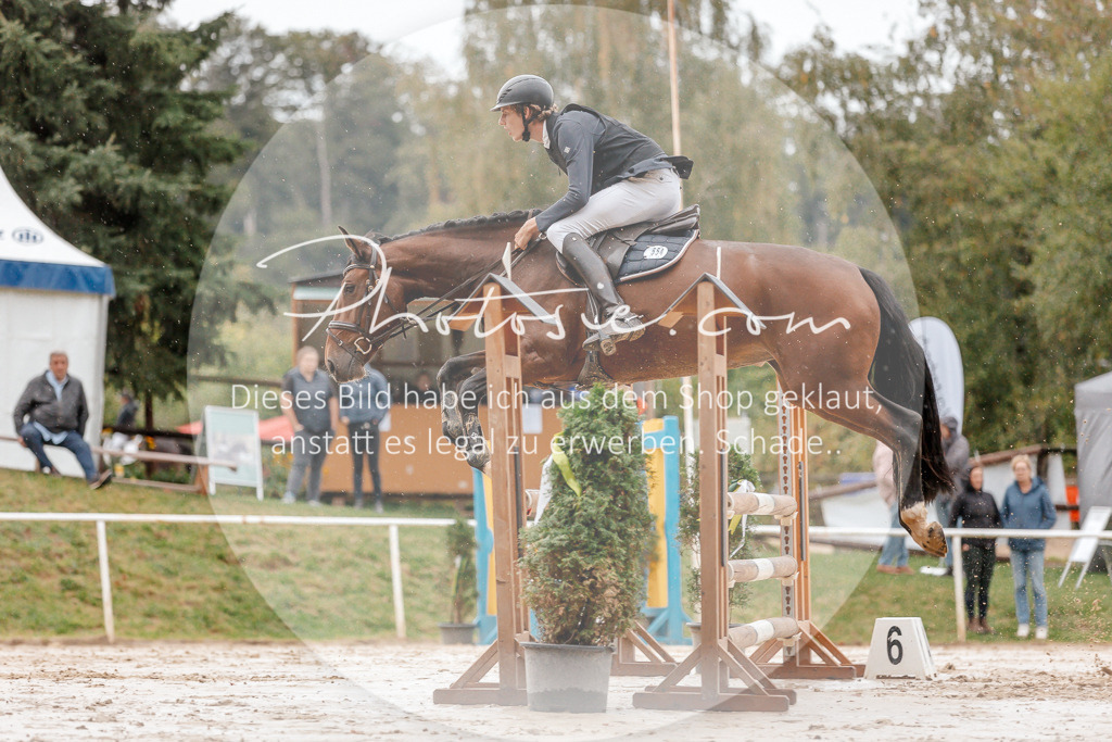 3I6A5651 | Stimmungsvolle Portraits und Reitsportfotografie im Ruhrgebiet und im Münsterland.

Pferdefotografie, Hundefotografie, Tierfotografie, Reportagen, Portraits von Tier und Mensch, Turnierfotografie in Bochum, Recklinghausen, Marl, Haltern am See, Dülmen.. - Realisiert mit Pictrs.com